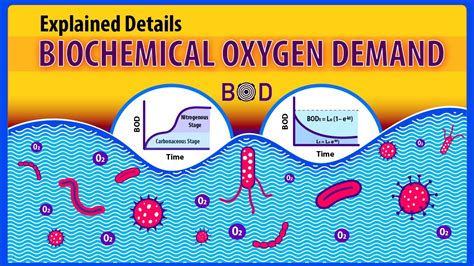 Exploring the Secrets of Water Purity: Unraveling the Meaning and Importance of Biological Oxygen Demand!