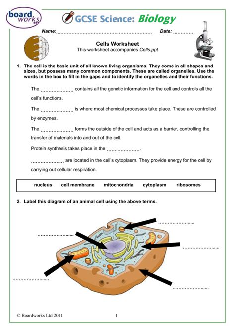 Biology Cell Structure Worksheet