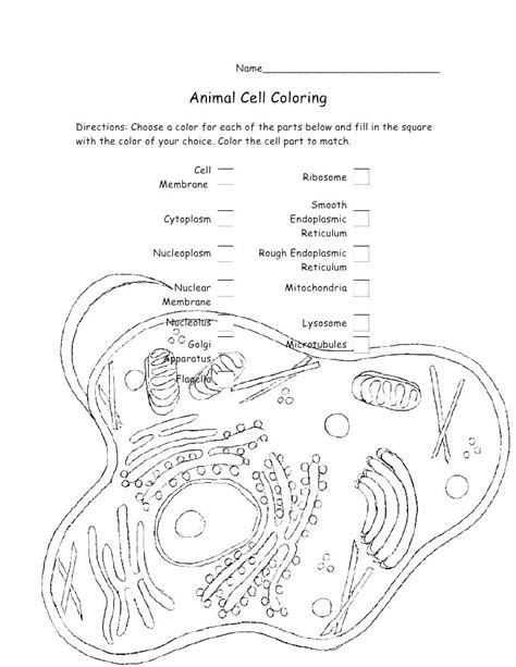 Biology Color Pages