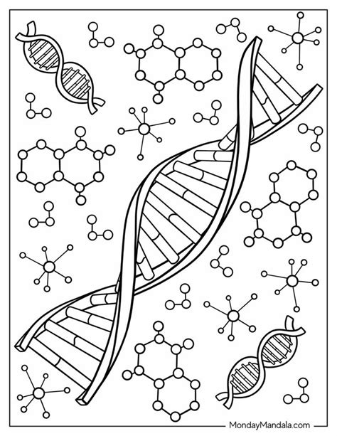 Biology Coloring Pages