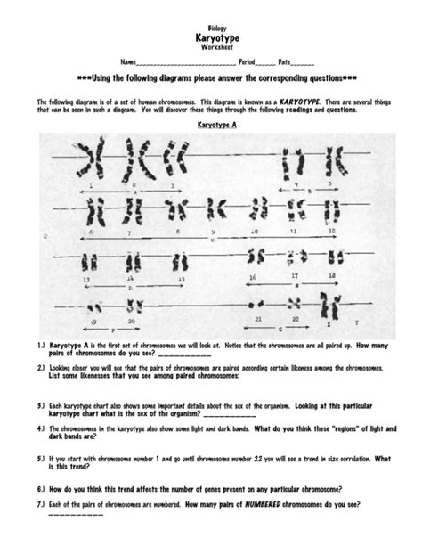 Biology Karyotype Worksheet Answers Key