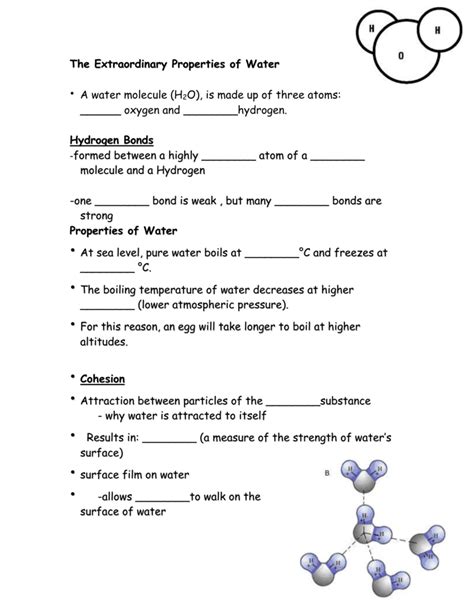 Biology Properties Of Water Worksheet