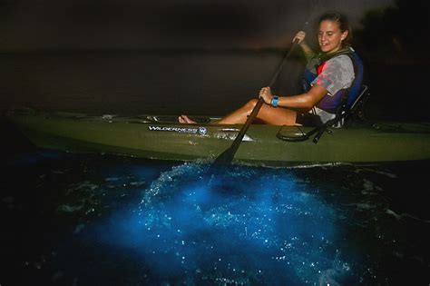 Bioluminescence Kayaking