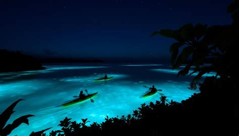 Bioluminescent Bay Tips