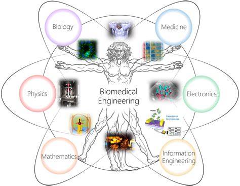 Biomedical