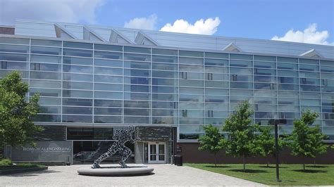 Biomedical Engineering Classes Rutgers