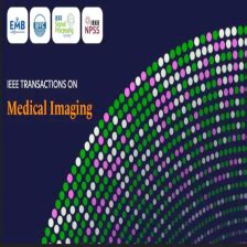Biomedical Imagingbrainbow