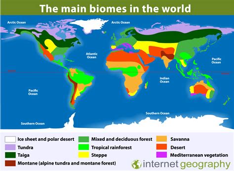 Biomes and locations