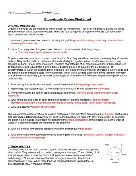 Biomolecules On The Menu Worksheet