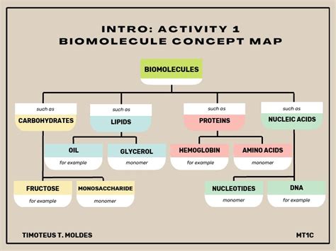 Mind Map Biomolecules Notes Study SubjectWise Mind Maps for NEET