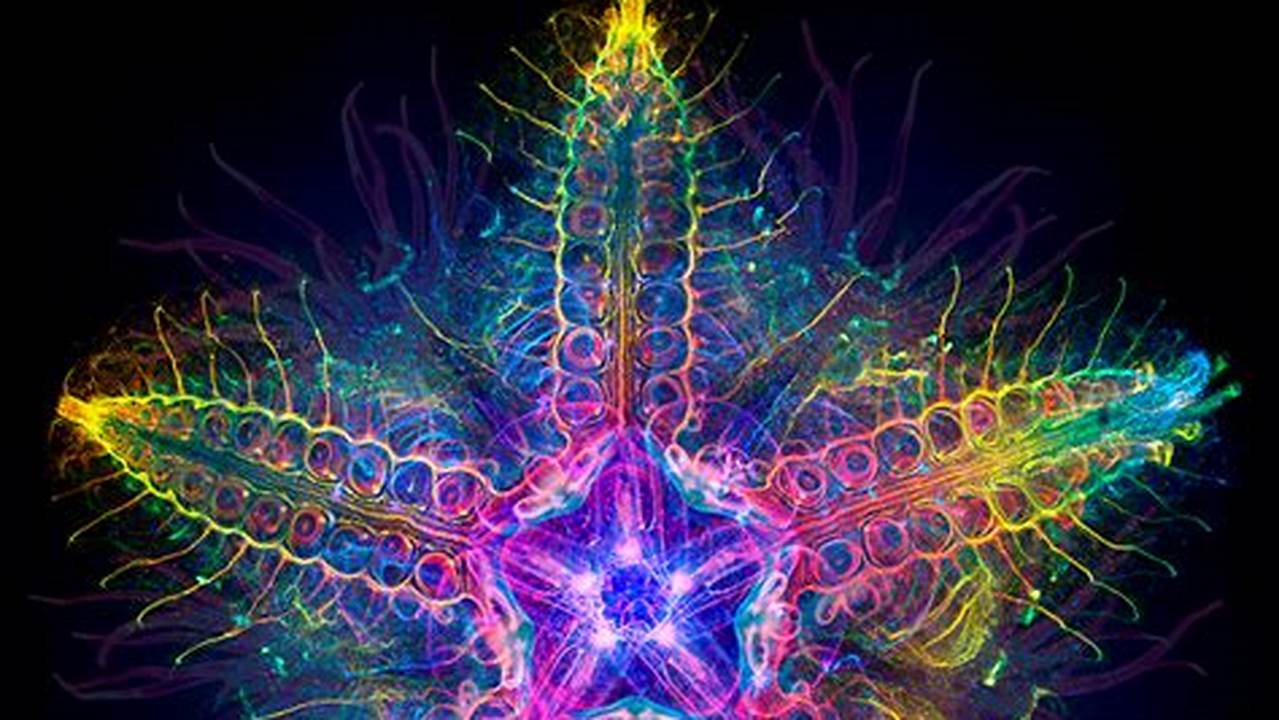 Bioneers Conference 2024