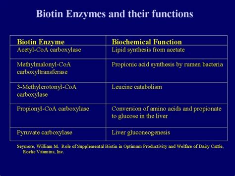 Biotin metabolic absorption and physiological function