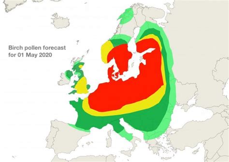 Birch pollen season in full swing in Europe Airmine