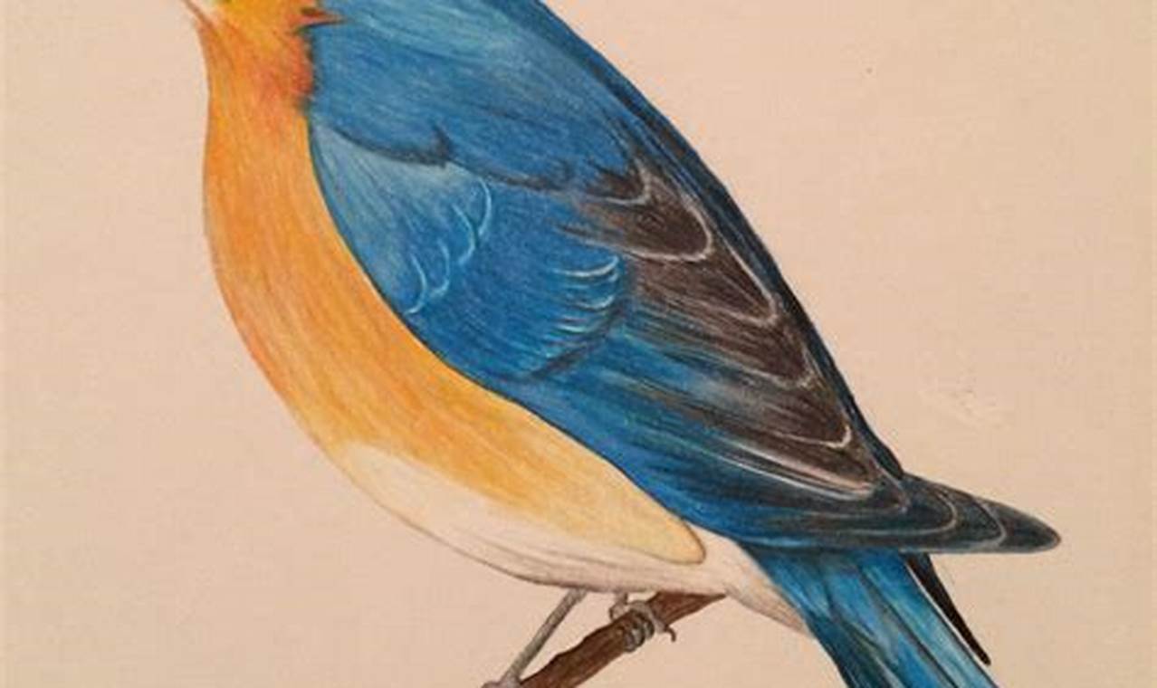 Bird Color Pencil Drawing: Capturing the Beauty of Nature