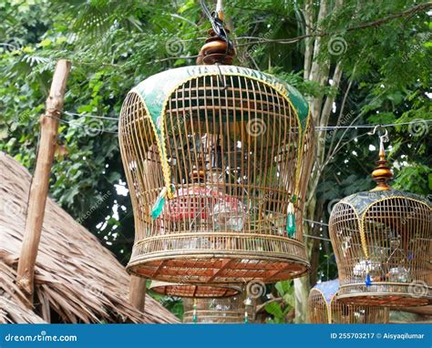 Bird Cages Bamboo