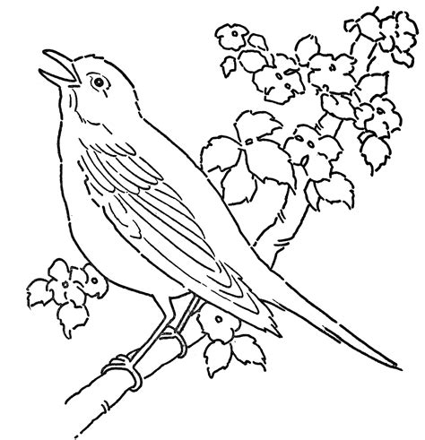 Bird Color Pages Printable