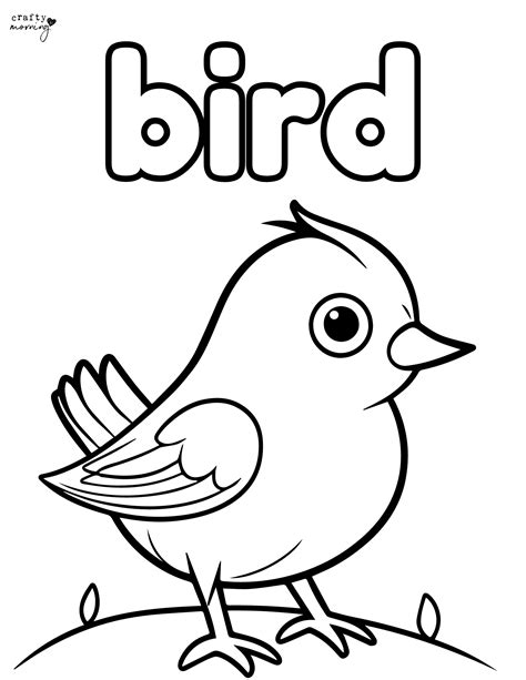 Bird Coloring Images