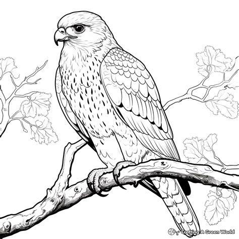 Bird Coloring Pages Realistic