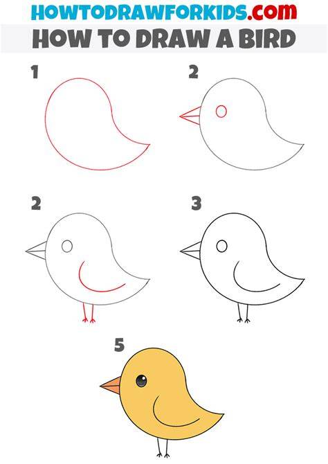 Bird Drawing Easy Step by Step