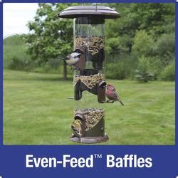Discover the Wild World of Bird Watching with Menards' Amazing Assortment of Bird Feeders!