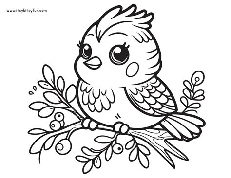 Bird Images To Color