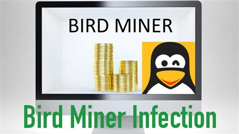 Bird Miner Malware