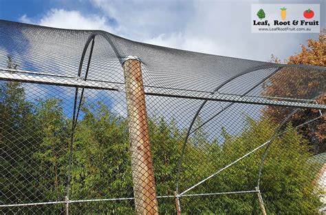 Bird Netting Structures