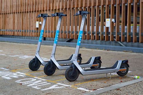 Bird Scooters