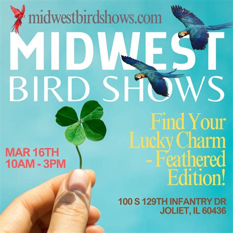 Bird Shows and Events