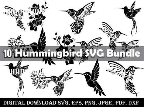 SVG Background