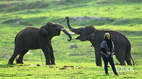 Pecinta burung sedang mengamati burung enggang di Way Kambas dengan teropong