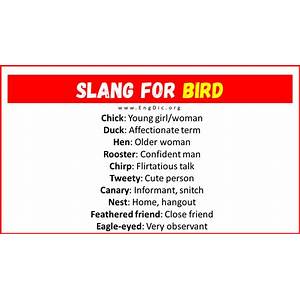 Bird Slang