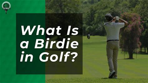 The Majestic Birdie: A Definitive Guide to the Golf Term Every Enthusiast Needs to Know