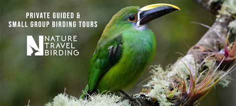 Birding Tour Tips