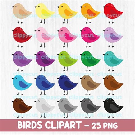 Download Birds Bundle - Set of 10 Files
