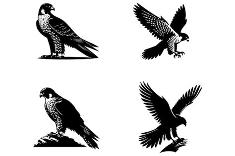 Download Birds Bundle - Set of 10 Files Free PSD Mockups