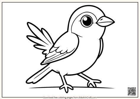 Birds Coloring Pages For Kids