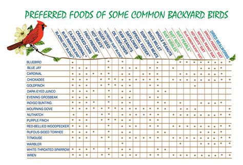Birds Food Chart