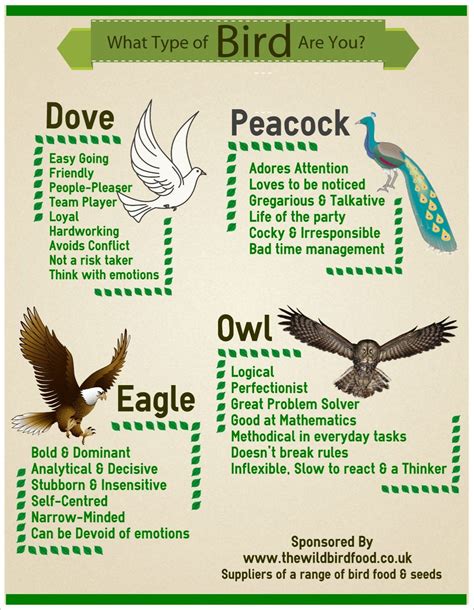 Birds Personality Test