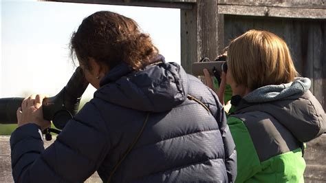 Birdwatcher Experience