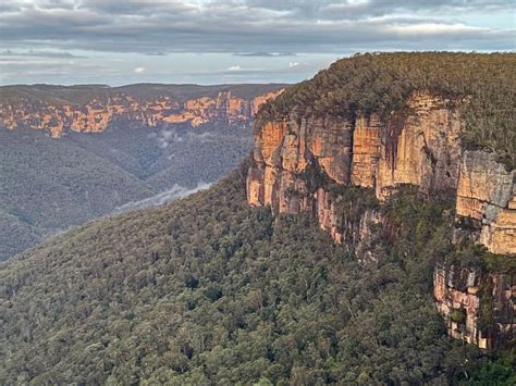 Birdwatching Blue Mountains