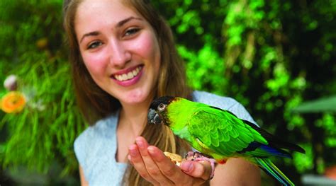Birdworld Kuranda Highlights