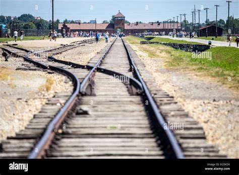 Birkenau train tracks