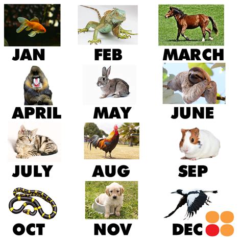Discover Your Zoological Zodiac: Exploring the Fascinating World of Birth Month Animals