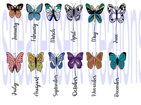 Discover the Marvelous World of Birth Month Butterflies - A Colorful Guide to Your Personal Symbolic Species