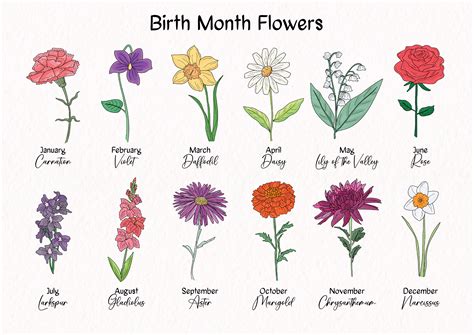 Discover the Secret Language of Birth Month Flowers: A Blooming Chart for Every Month