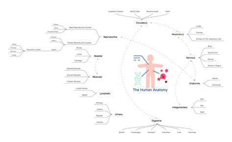 Wings of Humanity . . Concept Map