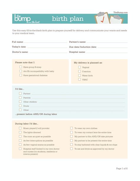 Birth Plan Form Printable