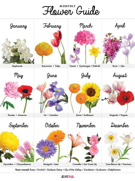 Birthday Flower Calendar