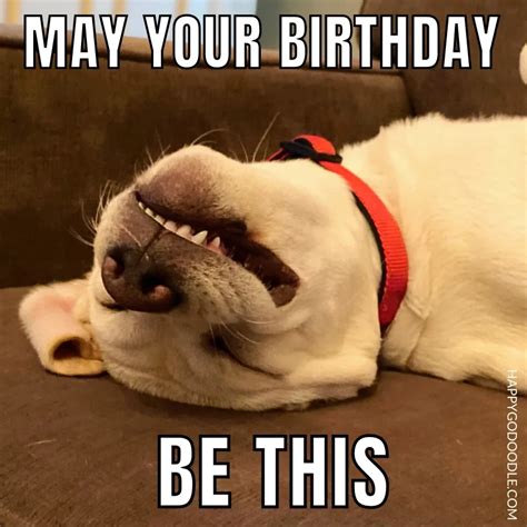 Birthday Meme Dog Lover